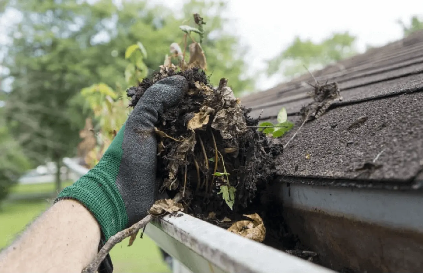gutter cleaning and maintenance
